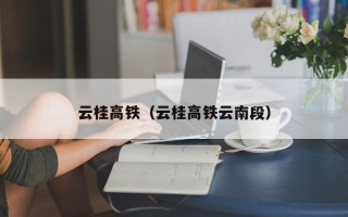 云桂高铁（云桂高铁云南段）